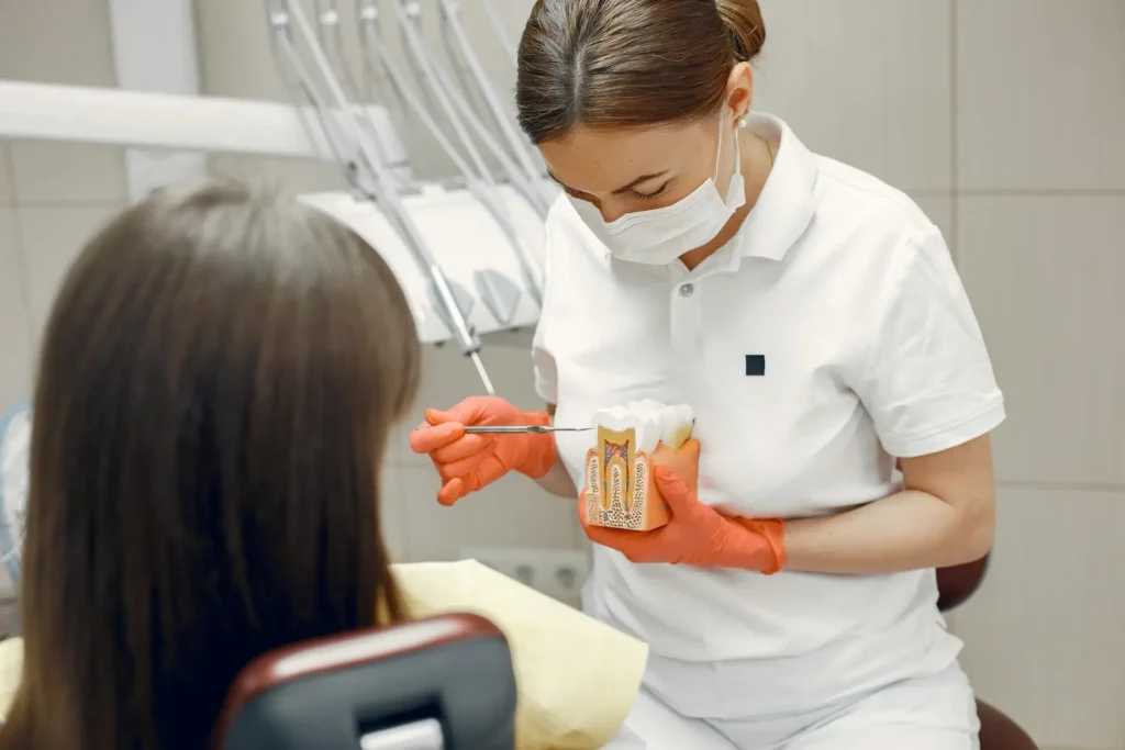 A Dentist Talking to a Patient while Holding a Tooth Model
