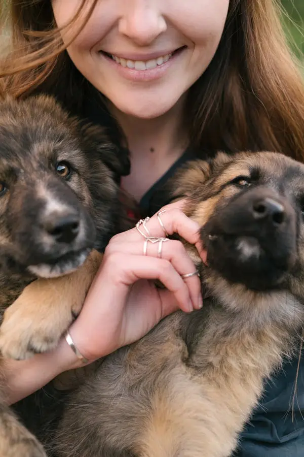 breeding German shepherds