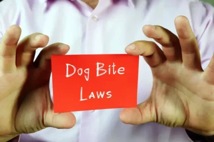 When You Should Hire a Dog Bite Lawyer