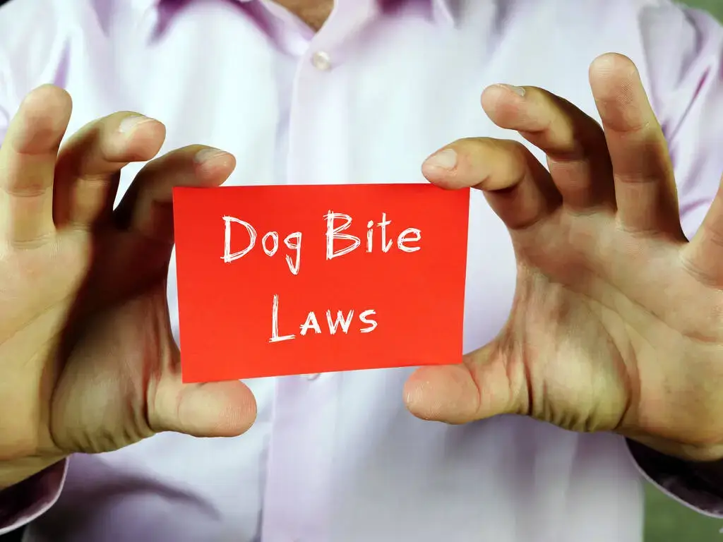 When You Should Hire a Dog Bite Lawyer