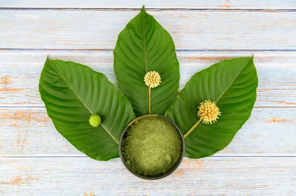 green vein kratom