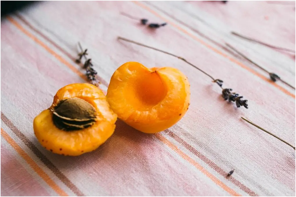 Incorporating Apricot Seed Into Your Wellness Regimen 