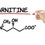 A Guide to Choosing the Right L-Carnitine Supplement for You