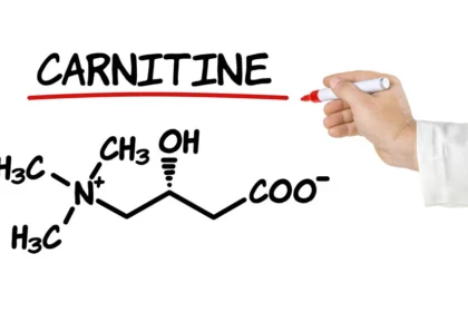 A Guide to Choosing the Right L-Carnitine Supplement for You