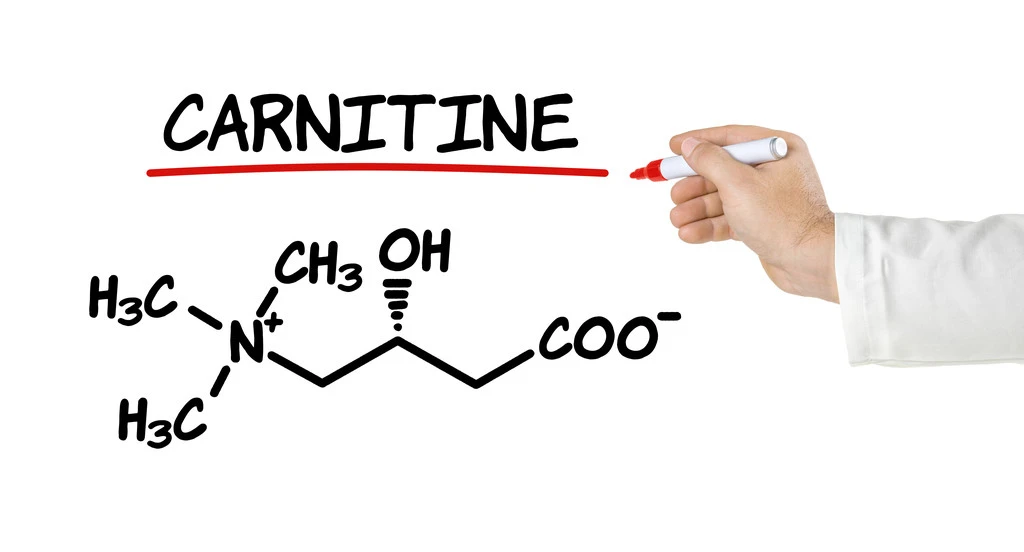 A Guide to Choosing the Right L-Carnitine Supplement for You