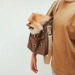 How to Choose the Greatest Dog Supplies